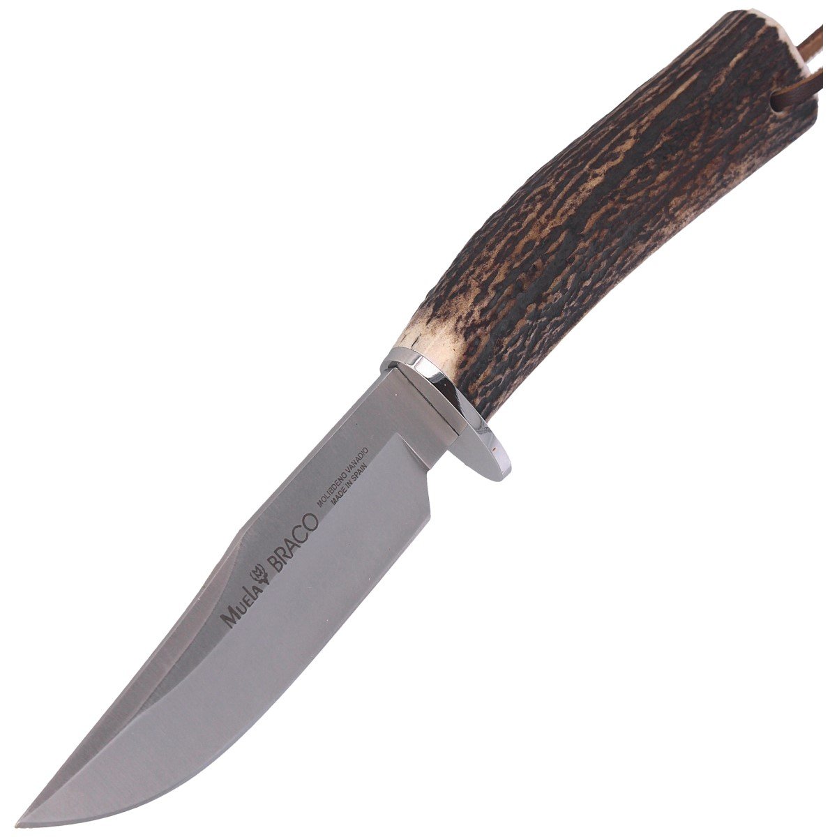 Nóż Muela Bowie Deer Stag Satin X50CrMoV15 BRACO 11A Dystrybutor