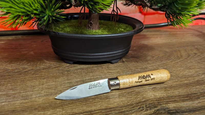 Nóż składany MAM Traditional Light Beech Wood 61mm (2025/2-A)