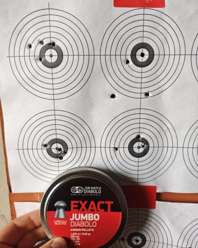 Śrut JSB Exact Jumbo 5.52 mm, 500 szt. (546247-500)