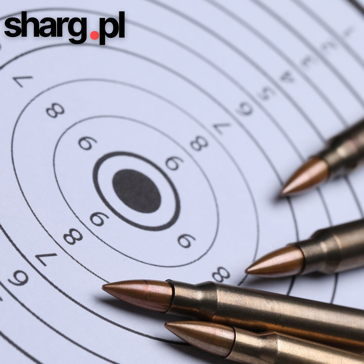 Factors Affecting Firearm Accuracy