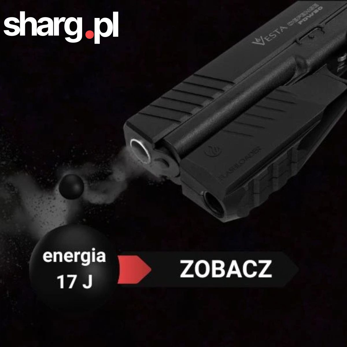 RAM Weapons – Pistol and Rifle for Self-Defense and Training