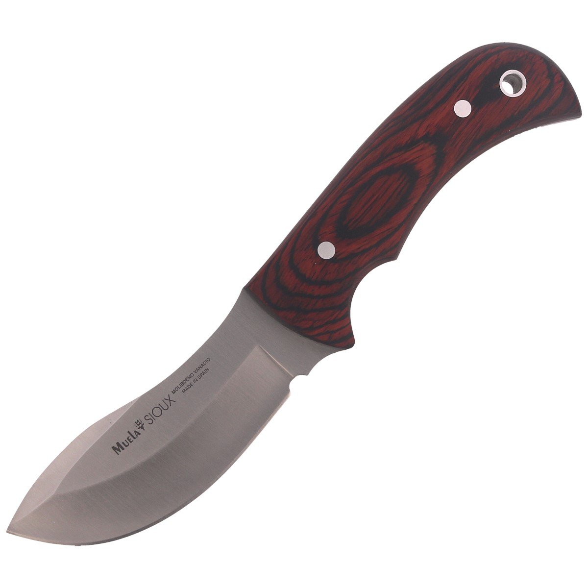 Nóż Muela Skinner Pakkawood, Satin X50CrMoV15 (SIOUX-10R) | KNIVES 