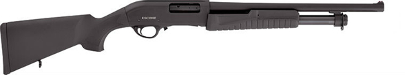 Hatsan 12GA repeating shotgun (ESCORT AimGuard 18'')