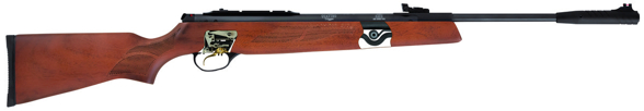 Hatsan MOD 95, Air Rifle