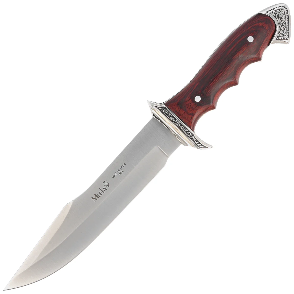 Muela 21833 Red Pakka Wood, Satin X50CrMoV15 knife