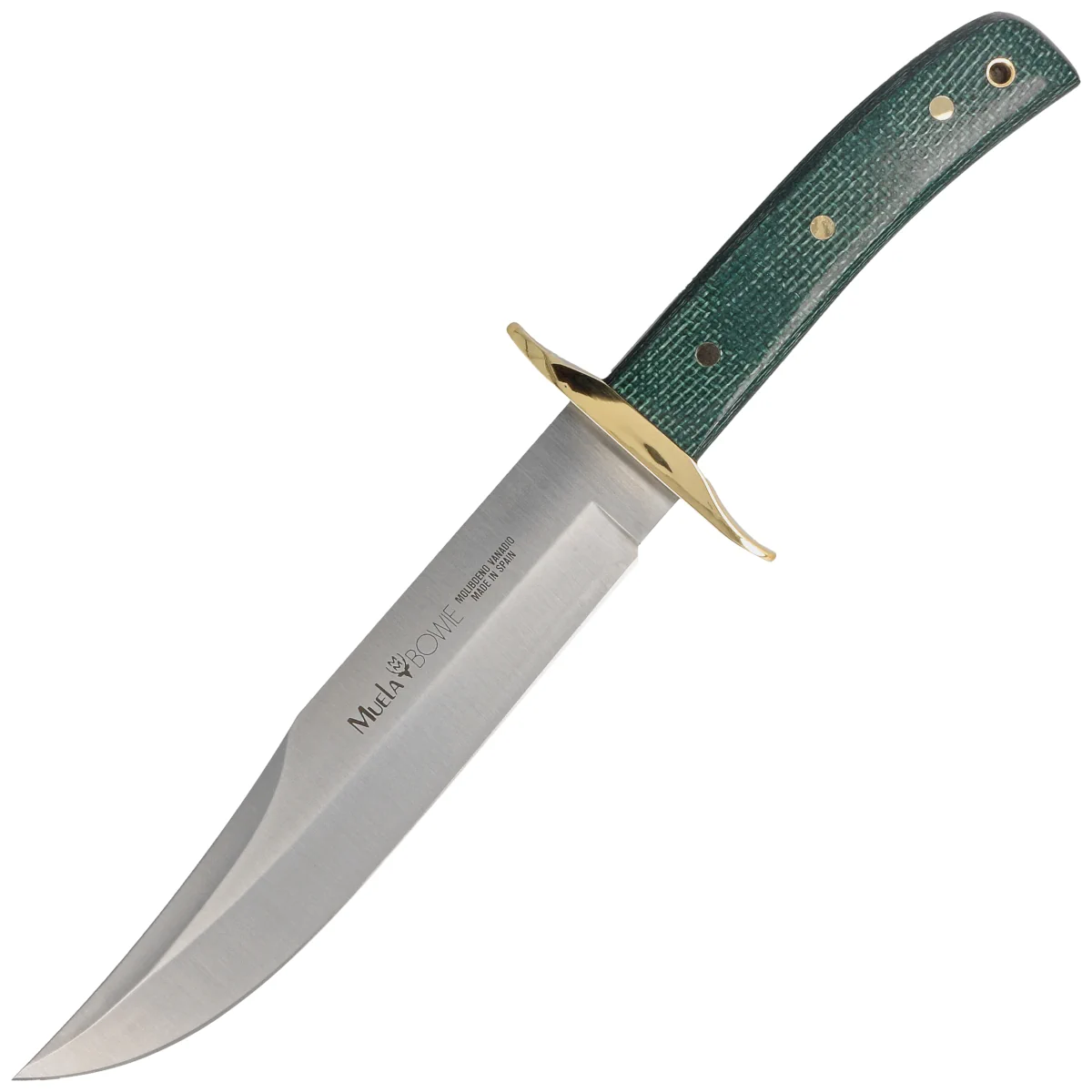 Muela BW-Classic-19G Green Jute Micarta, Satin X50CrMoV15 Knife