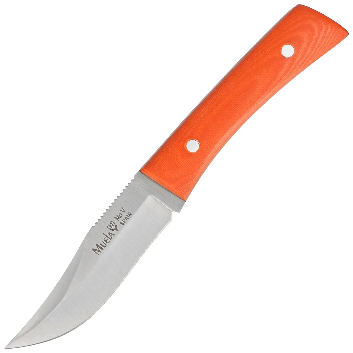 Muela BWE-8.O Orange Canvas Micarta Knife, Satin X50CrMoV15