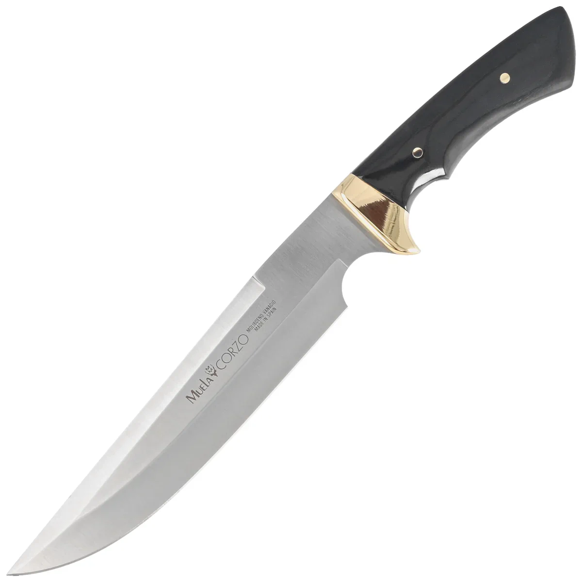 Muela Corzo-22 Beech Wood Knife, Satin X50CrMoV15