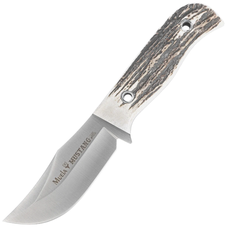 Muela Mustang-8A Knife Red Deer Stag, Satin X50CrMoV15