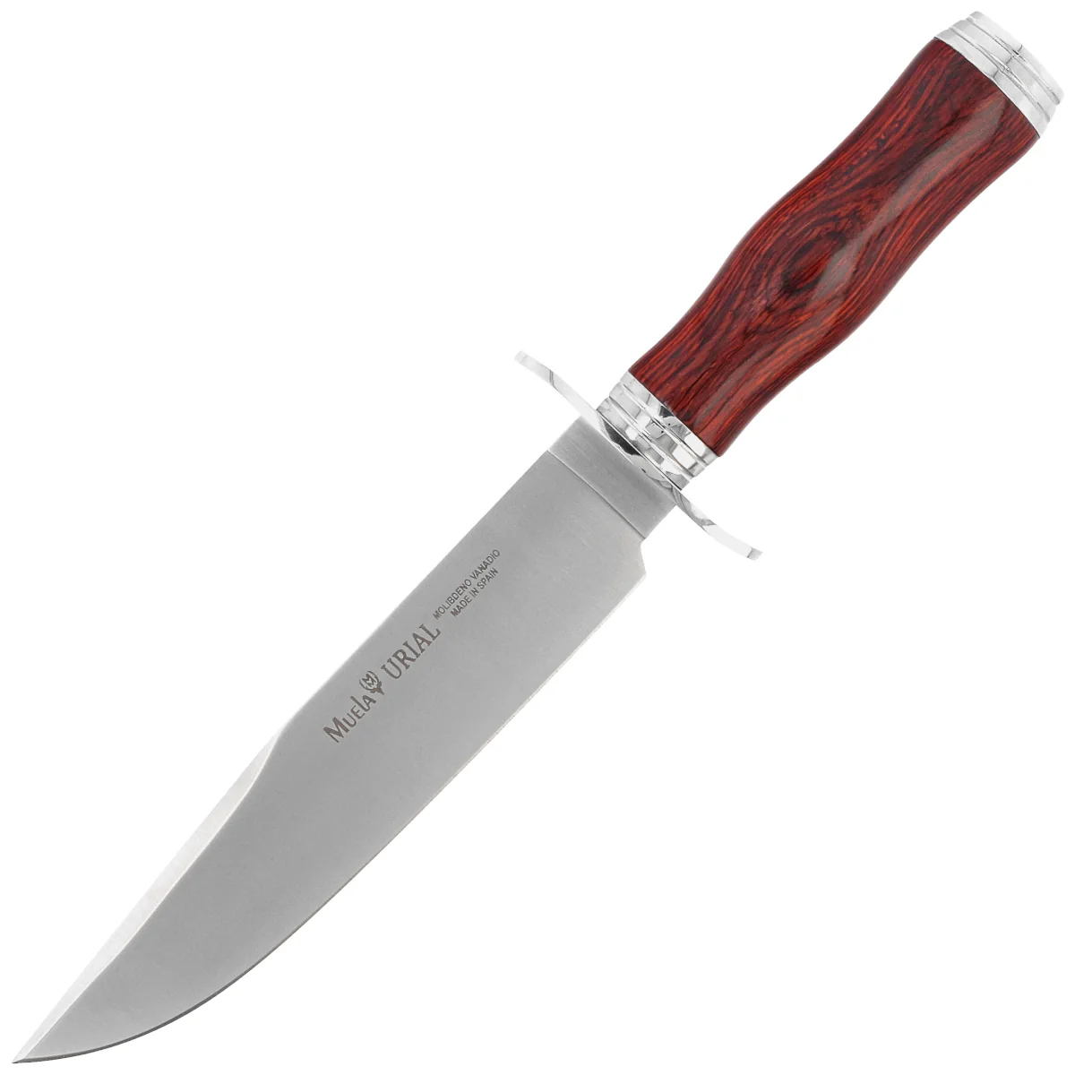 Muela Urial-19CO Cocobolo Wood, Satin X50CrMoV15 knife