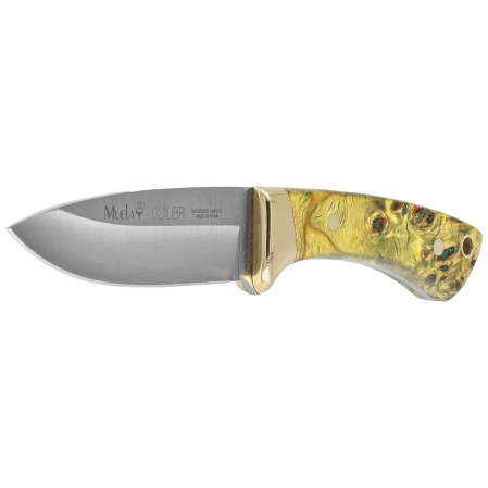 Muela Colibri COL-7.TO Maple Wood Knife, Satin X50CrMoV15, Gift Box