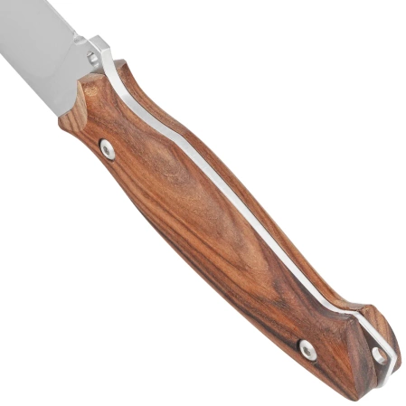 Viper Pointer Cocobolo Wood, Satin N690Co by Tommaso Rumici Knife (V4870CB)