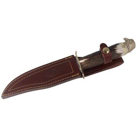 Nóż Muela Deer Stag 160mm, Gift Box ( BALD EAGLE-16N)