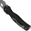 Spyderco Shaman Lightweight Knife Black FRN, Satin CTS BD1N by Sal Glesser (C229PBK)