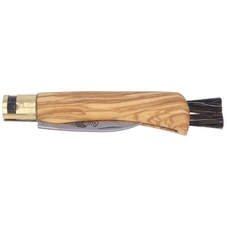 Nóż składany Antonini Old Bear Mushroom Olive 190mm (AE 9387/19_LU)