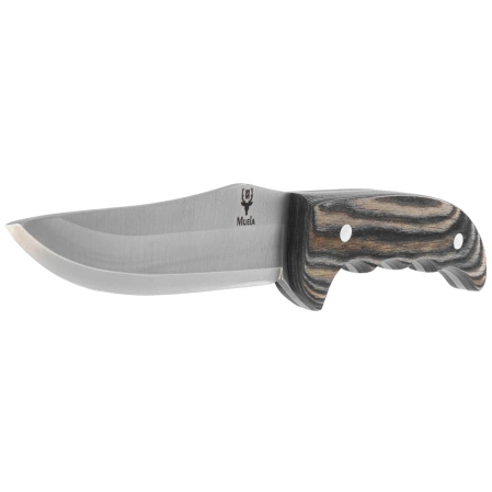 Nóż Muela Outdoor-12M Evergreen Pakka Wood, Satin X50CrMoV15