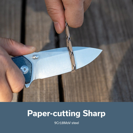 Sencut Skarnax Knife Blue Canvas Micarta, Satin 9Cr18MoV (S24025-3)