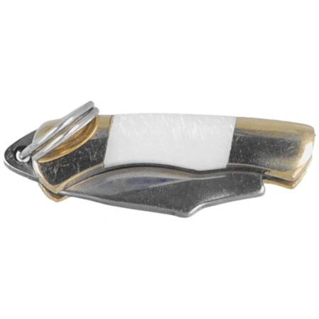 Third Decor Habitat Miniature Knife Abalone, Mirror-Polished 420 (N89-3)