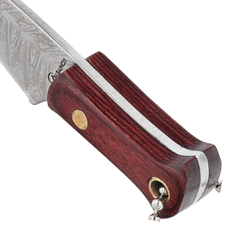 Nóż Martinez Albainox 32767 Wood, Damascus 3Cr13Mov