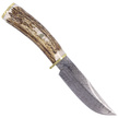 Muela Braco-11DAM Deer Stag Knife, Damascus