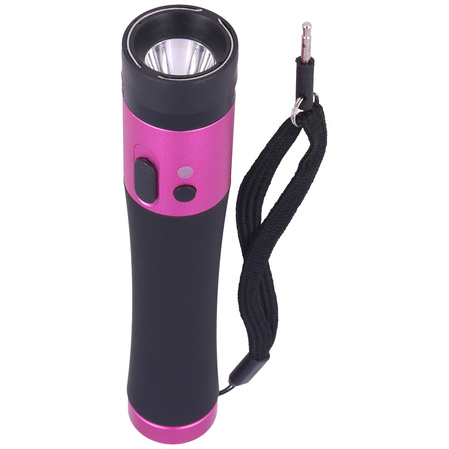 Paralyseur 9 million volt stun gun with flashlight (YJ-02)