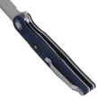 Bestech Ascot Blue Carbon Fiber/G10, Satin D2 Knife (BG19C)