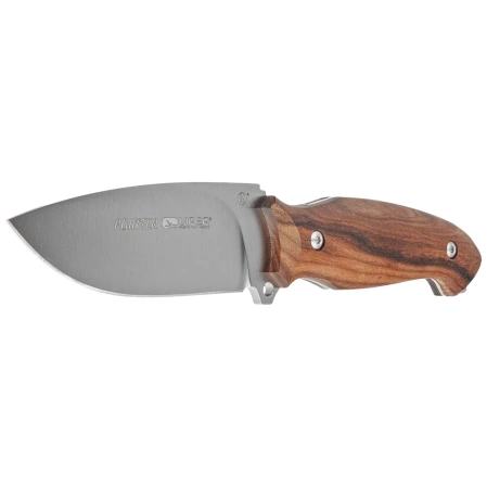 Viper Pointer Cocobolo Wood, Satin N690Co by Tommaso Rumici Knife (V4870CB)