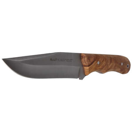 Muela Full Tang Olive Wood, Satin X50CrMoV15 (PIONEER-14.OL)