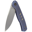 WE Knife Seer LE No 576/610 Blue Titanium, Rubber Silver CPM 20CV knife (WE20015-2)