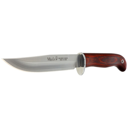 Muela Gredos Coral Wood, Satin X50CrMoV15 (GRED-13R)