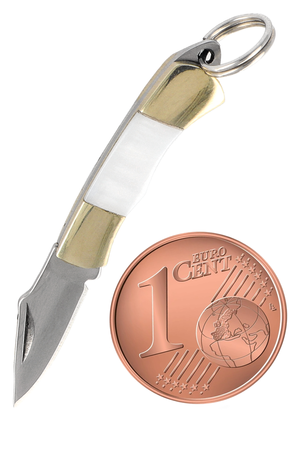 Third Decor Habitat Miniature Knife Abalone, Mirror-Polished 420 (N89-3)