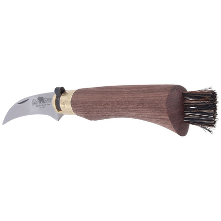 Nóż składany do grzybów Antonini Old Bear Mushroom Walnut Wood, Satin AISI 420 (AE 9387/19_LN)