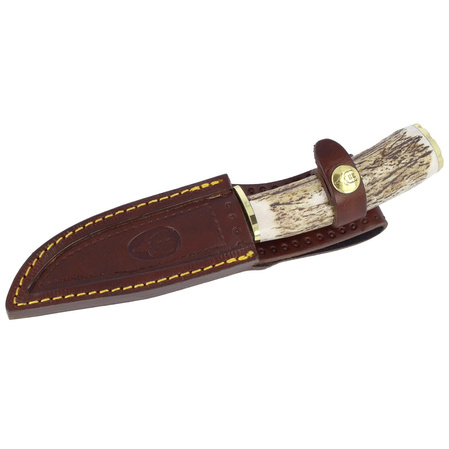 Muela Braco-11DAM Deer Stag Knife, Damascus