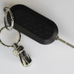 Lionsteel Acorn Dice Brass Key Chain (DD OT)