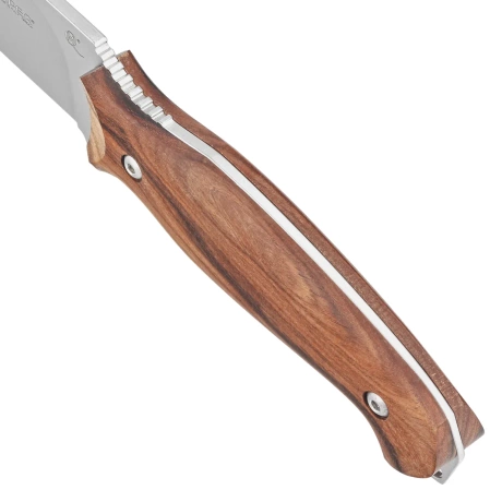 Viper Pointer Cocobolo Wood, Satin N690Co by Tommaso Rumici Knife (V4870CB)