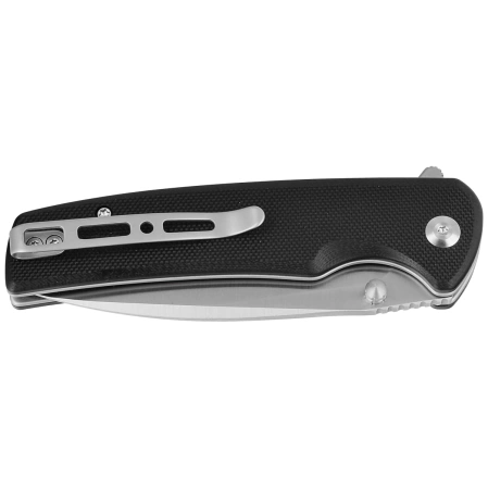 Sencut Sachse Black G10, Satin 9Cr18MoV knife (S21007-5)