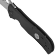 Spyderco Starmate Sprint Run Knife Black G10, Satin CPM 20CV by Bob Terzuola (C55G20CVP)
