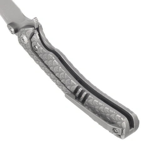 Nóż składany WeKnife Dracarys LE No ???/199 Gray Titanium, Stonewashed M390 (WE25061B-1)