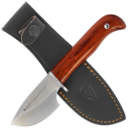 Nóż Muela Piranha-8R Coral Pakka Wood, Satin X50CrMoV15