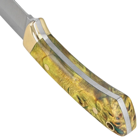 Nóż Muela Colibri COL-7.TO Maple Wood, Satin X50CrMoV15, Gift Box