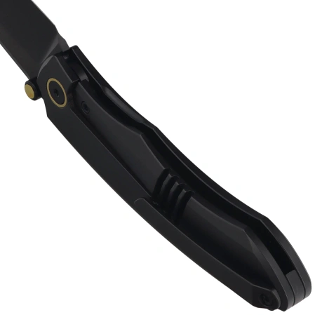 Nóż składany Remette Wild Species Black Titanium, Black DLC M390 (WD108-N2)