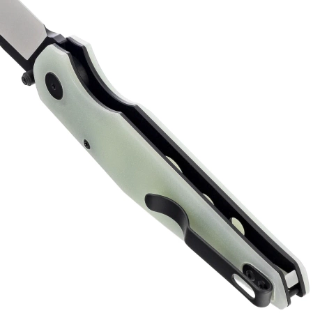 Bestech Snakebird Knife Transparent G10, Satin / Black PVD 14C28N (BG58D)