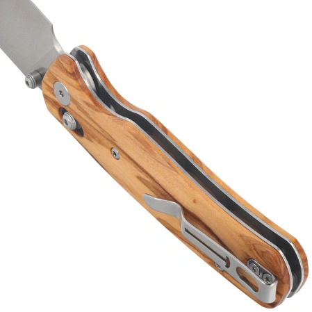 Bestechman Cicada's Wing Knife Olive Wood, Satin 10Cr15MoV (BMK06-W-1)