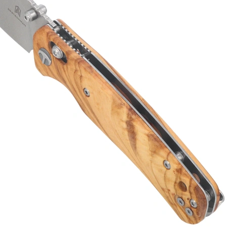 Bestechman Cicada's Wing Knife Olive Wood, Satin 10Cr15MoV (BMK06-W-1)