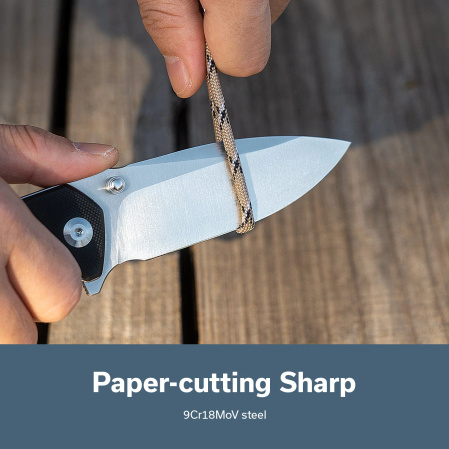 Sencut Skarnax Knife Black G10, Satin 9Cr18MoV (S24025-1)