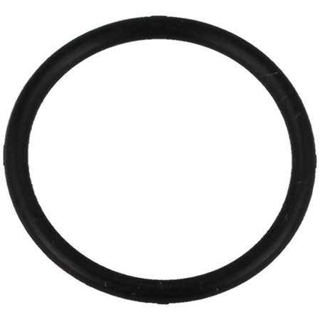 O-Ring 21*2 do pompki PCP Hatsan Hand Pump (53)