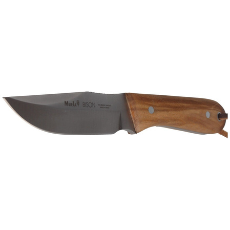 Muela Bison-9.OL Olive Wood Knife, Satin X50CrMoV15
