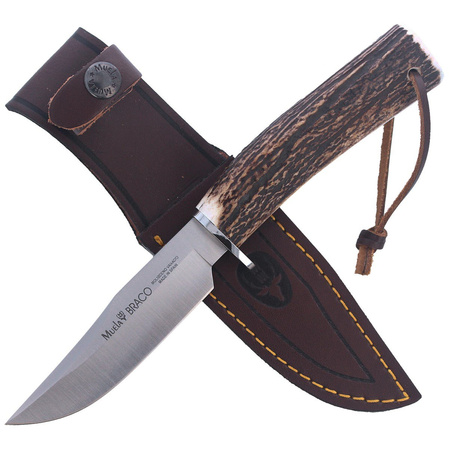 Muela Braco-11A Deer Stag Knife, Satin X50CrMoV15