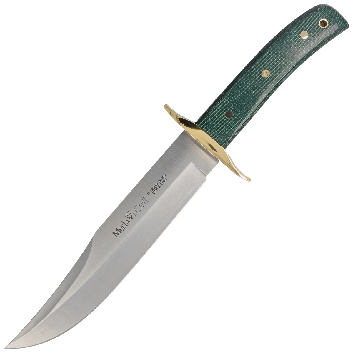 Nóż Muela BW-Classic-19G Green Jute Micarta, Satin X50CrMoV15