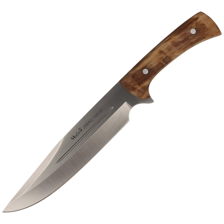 Nóż Muela Full Tang Olive Wood, Satin X50CrMoV15 (JABALI-21OL)